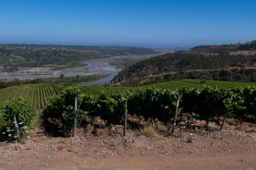 Photo of the view from Viña Leyda, with the Maipo River and the Pacific Ocean in the distance. Chile offers comparable variety and quality to California wines