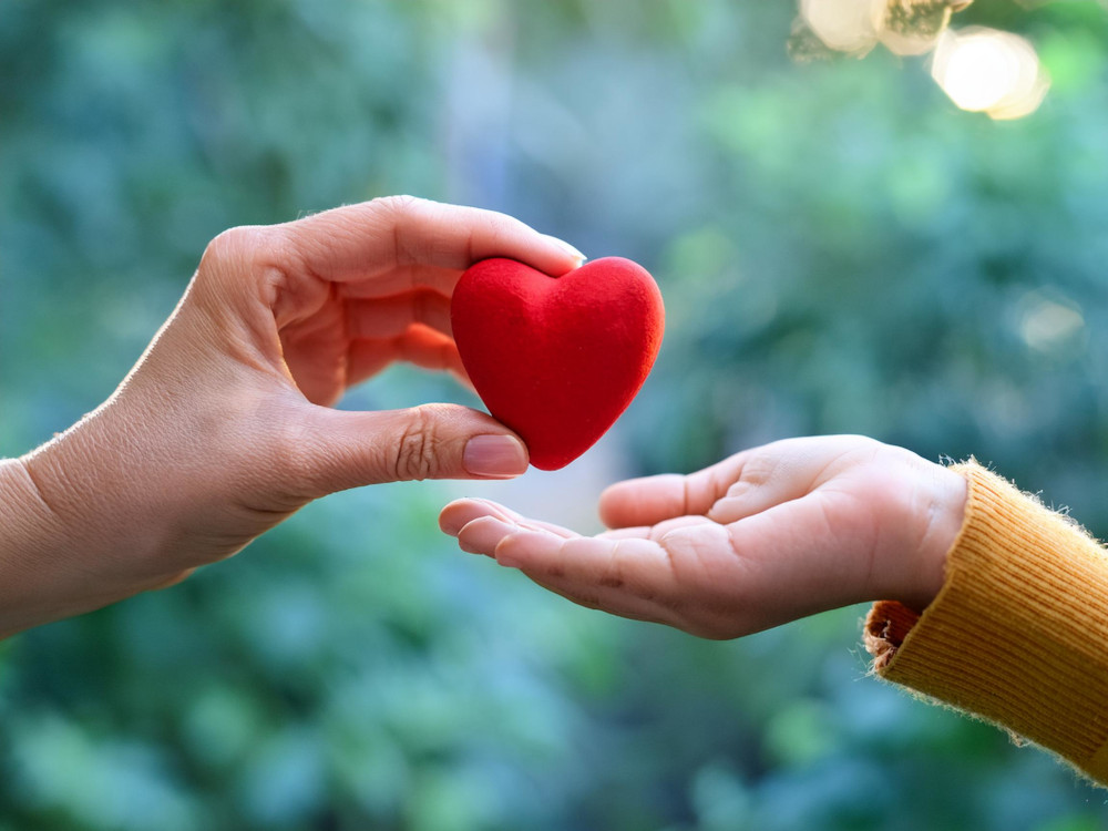 Photo of hand holding a heart