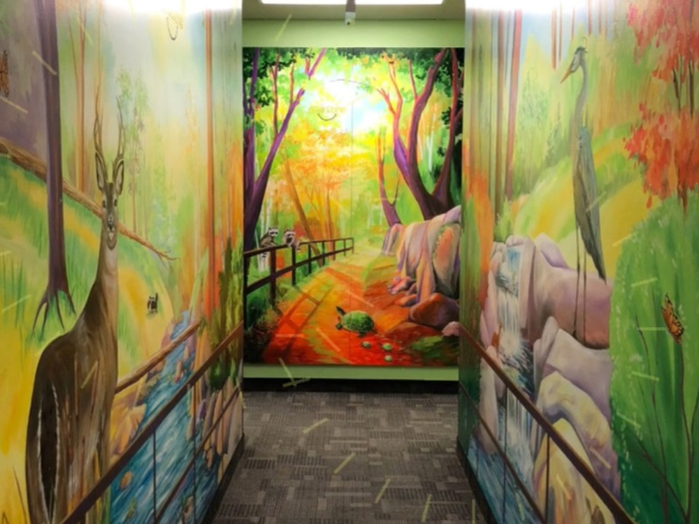 An example of a Smilezone Foundation space